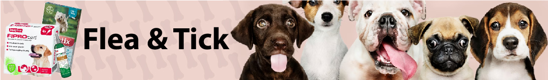 dog banner image